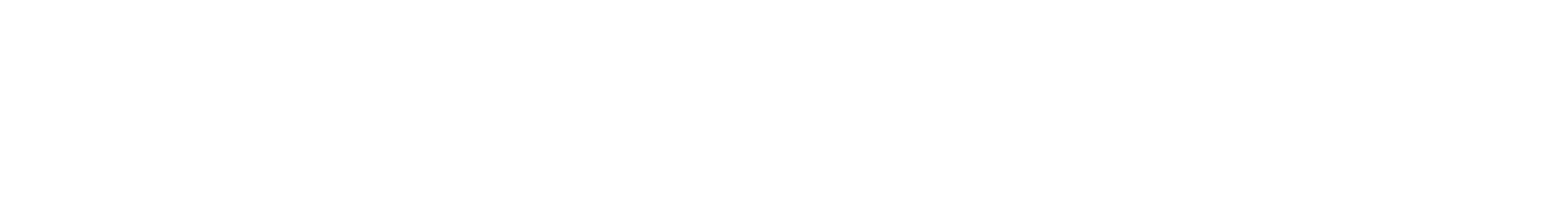Logo_Magnaplast_br_horizontal.png
